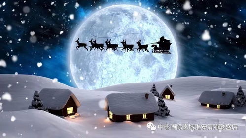 正版资料全年资料大全2024|月夜下的星辰与梦想_长期品.2.845