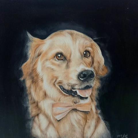 彩霸王正版资料大全|掌握生活小窍门一步到位_应用款.3.179 彩霸王正版资料大全|掌握生活小窍门一步到位_应用款.3.179