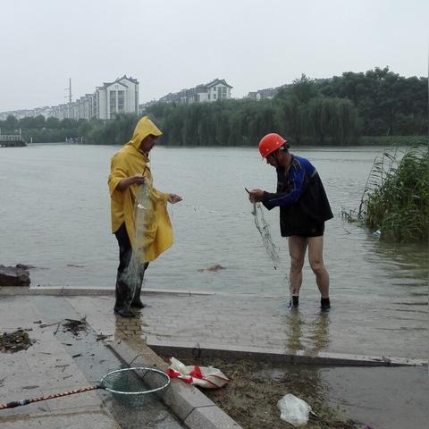 正版免费全年资料大全20|统计解答解释落实_W.3.382