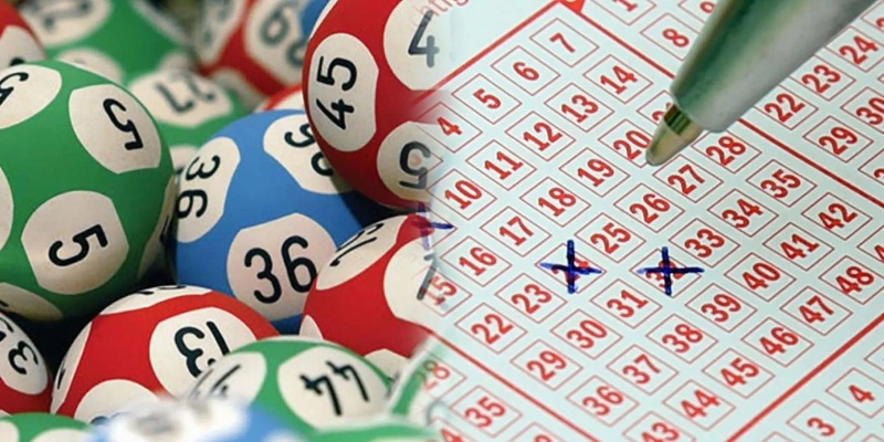 2024年澳门开奖结果|可靠研究解释落实_迅捷款.8.838